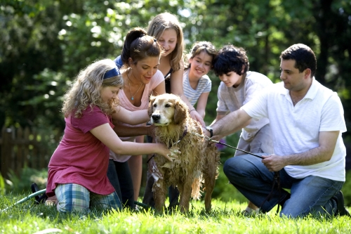 life insurance